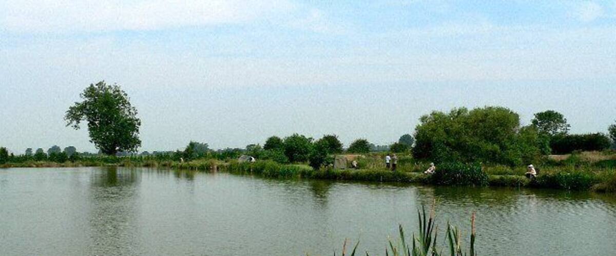 A calm lake with surrounding greenery and a few people in the distance.