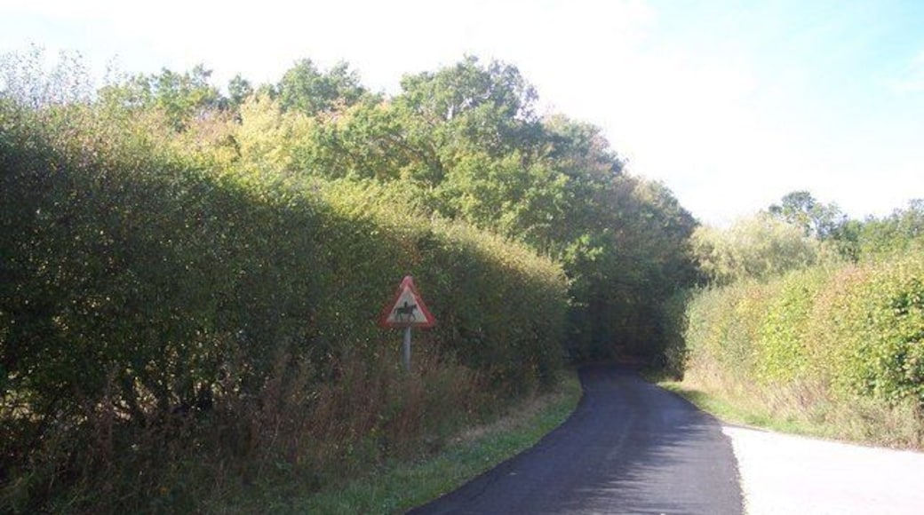 Haunted horse riders on Cripple Hill This lane leads from Middle Quarter to Biddenden Road. Seen from close to the junction to Marlborough House.
