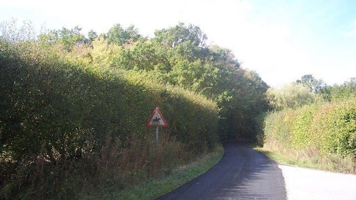 Haunted horse riders on Cripple Hill This lane leads from Middle Quarter to Biddenden Road. Seen from close to the junction to Marlborough House.