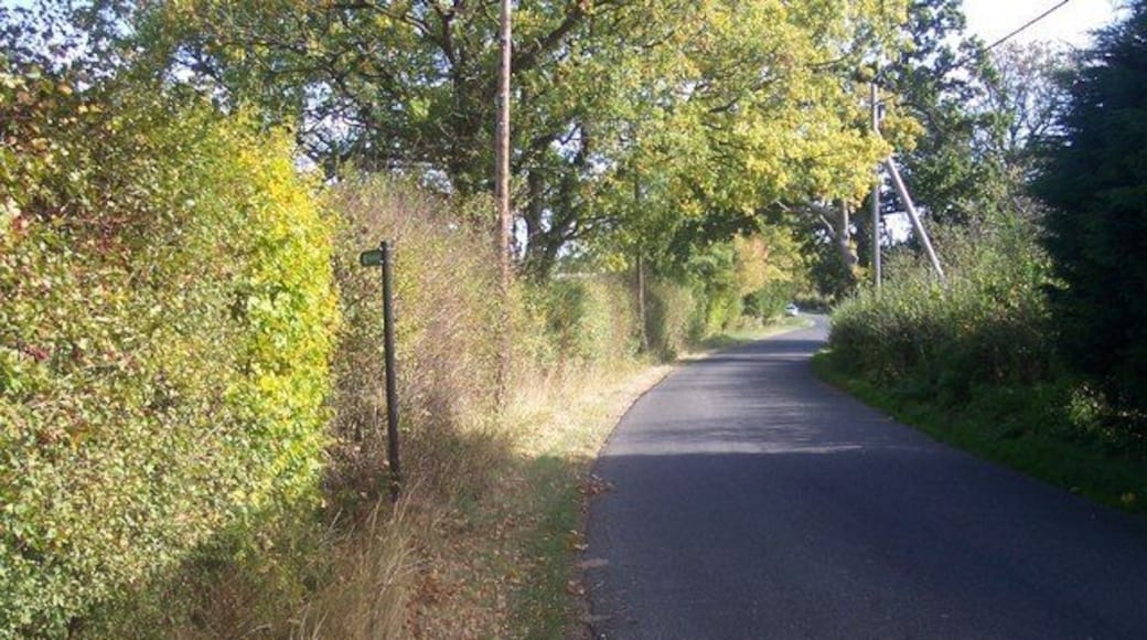 High Halden Road near Ledger Farm This road leads to Further Quarter and Bethersden from Biddenden and Stede Quarter. The footpath on the left leads through several horse and pony paddocks, before heading through fields towards Bethersden Road.