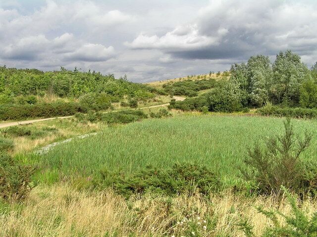 Seventy Acre Hill, Tinsley Park, Sheffield. The hill was created as part of the post-opencast landscaping at Tinsley Park in Sheffield.