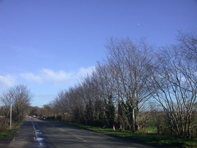 Moon over Park Lane The Lane was eerily quiet as it was closed to traffic