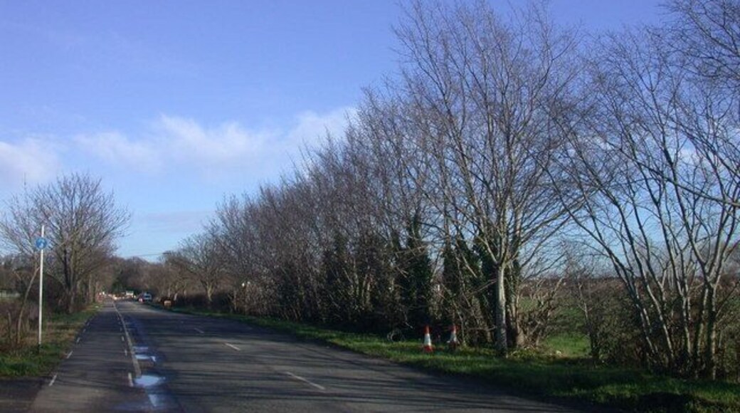 Moon over Park Lane The Lane was eerily quiet as it was closed to traffic