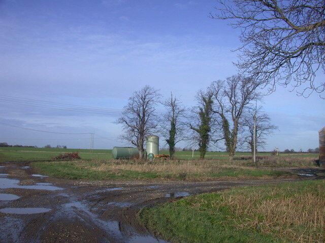 Trees and Tanks, Meadow Farm