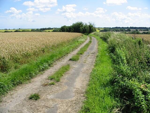 Looking S along a farm track near Hoath