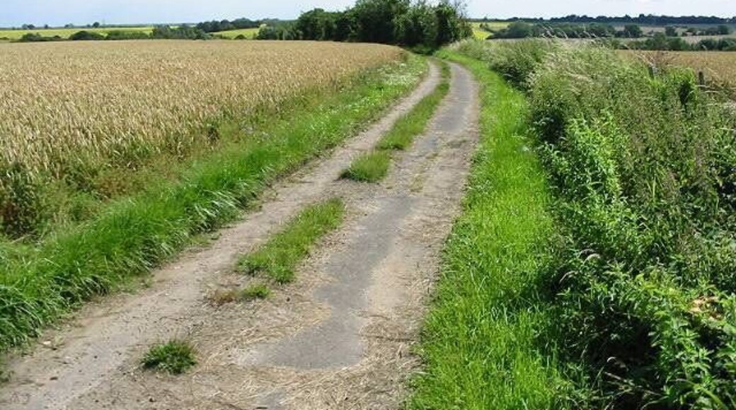 Looking S along a farm track near Hoath
