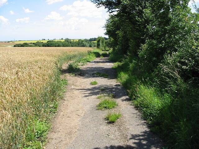 Farm track The A28 from Canterbury to Thanet follows the horizon (Thanet left).