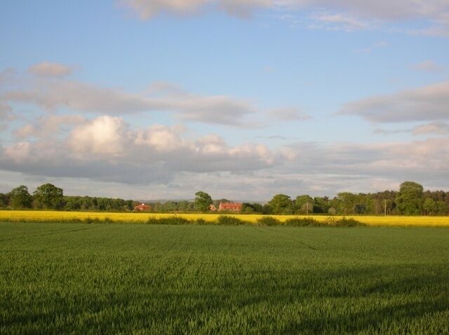 Rape from Common End Taken opposite Chessingham Park, an industrial estate in Dunnington.