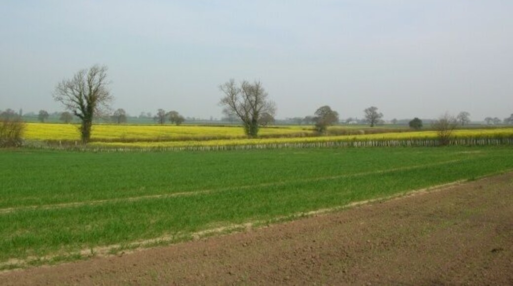 From Ox Calder Way Looking across farmland east of Dunnington. Taken along a section of sustrans cycle route 66.