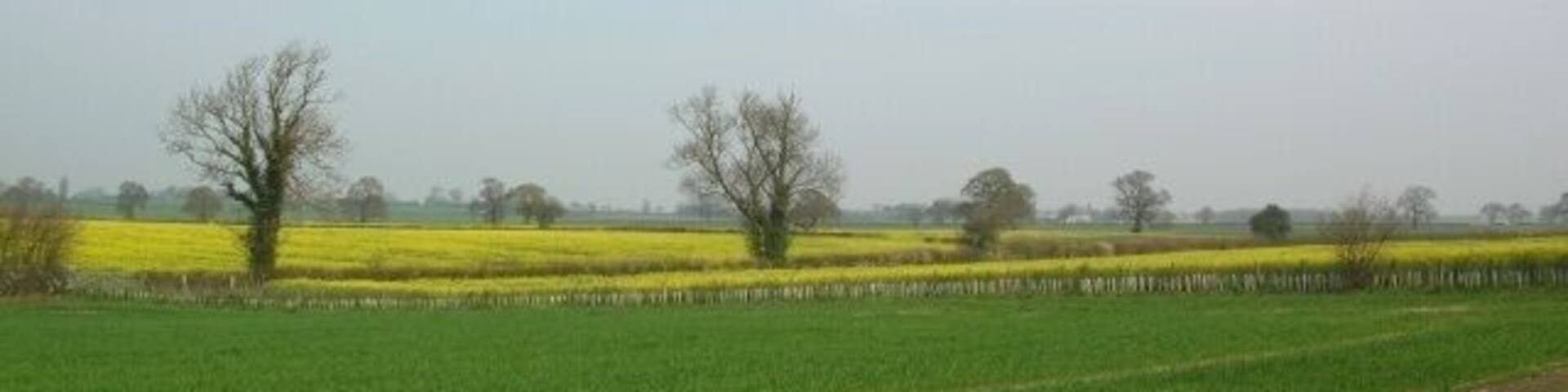 From Ox Calder Way Looking across farmland east of Dunnington. Taken along a section of sustrans cycle route 66.