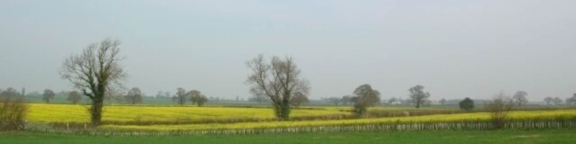 From Ox Calder Way Looking across farmland east of Dunnington. Taken along a section of sustrans cycle route 66.