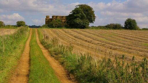 Field near Hotham, East Riding of Yorkshire, England. Looking East.