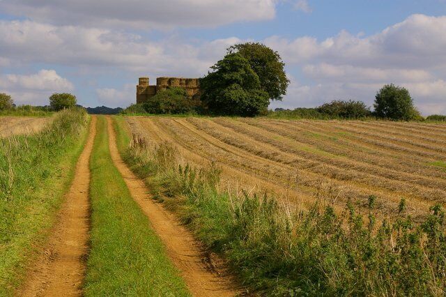 A dirt path leading to a historic building in a field with rows of crops.