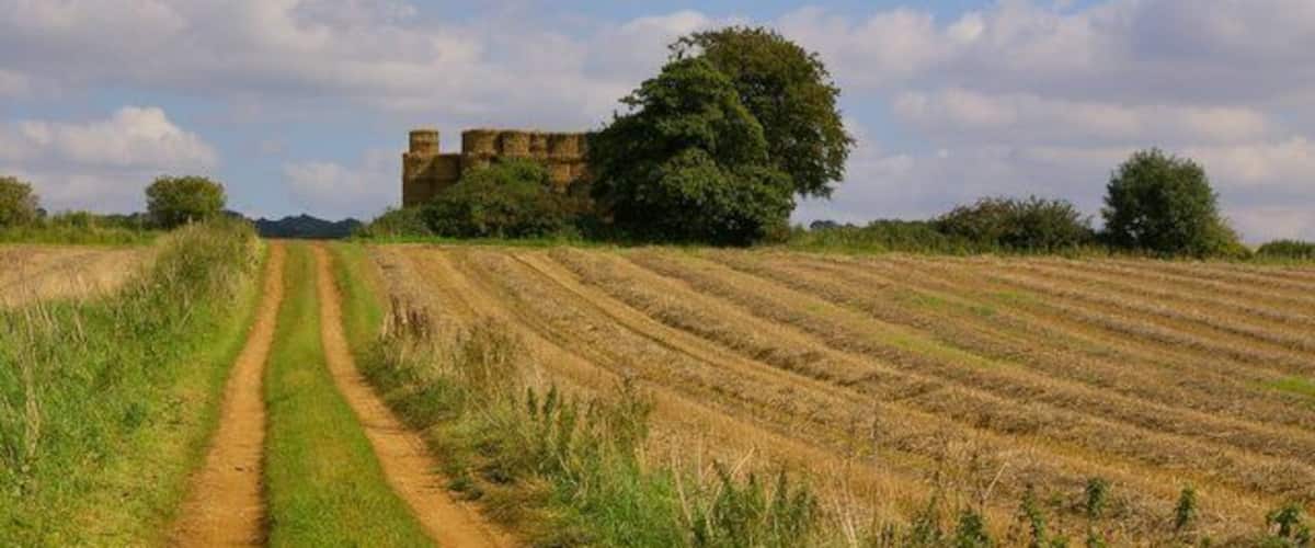 A dirt path leading to a historic building in a field with rows of crops.