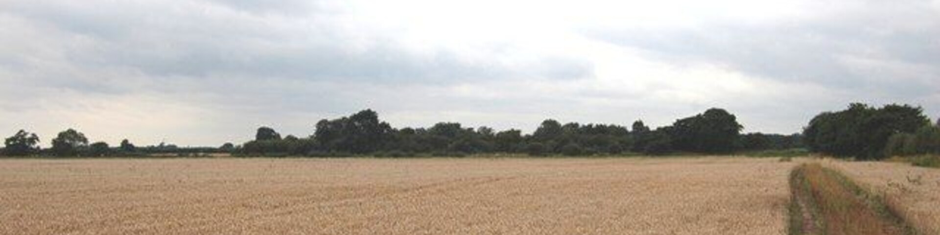 Farmland and woodland, Hotham, East Riding of Yorkshire, England. This is a flat and fairly featureless gridsquare, mainly arable farmland. The small plantation (about 200 x 100 metres) at the south of the square is shown in the photo.