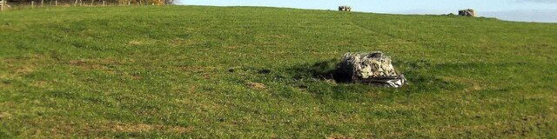 Field, Wallerthwaite Field with curious rocks placed at regular intervals. I have been reliably informed that this was used as a landfill site, and has now been scaped to this appearance by Harrogate Council.