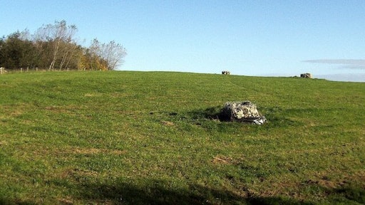 Field, Wallerthwaite Field with curious rocks placed at regular intervals. I have been reliably informed that this was used as a landfill site, and has now been scaped to this appearance by Harrogate Council.
