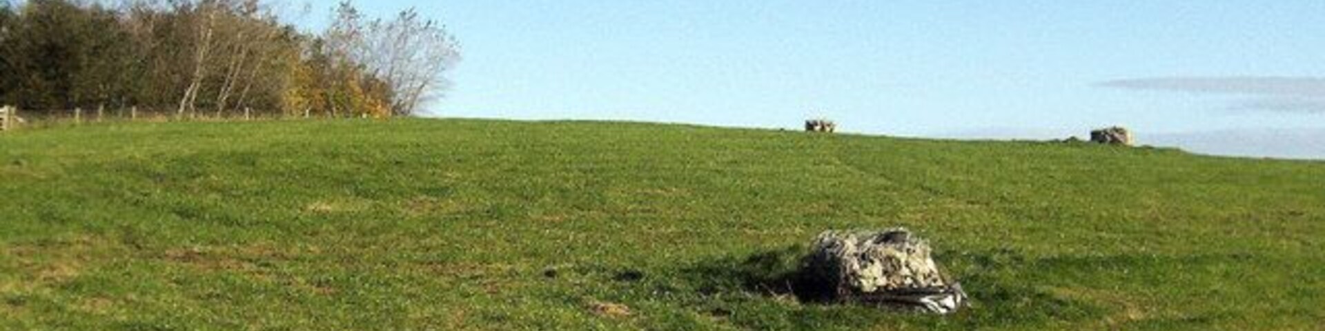 Field, Wallerthwaite Field with curious rocks placed at regular intervals. I have been reliably informed that this was used as a landfill site, and has now been scaped to this appearance by Harrogate Council.