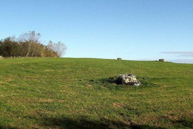A grassy field with a rock in the foreground and trees in the background.