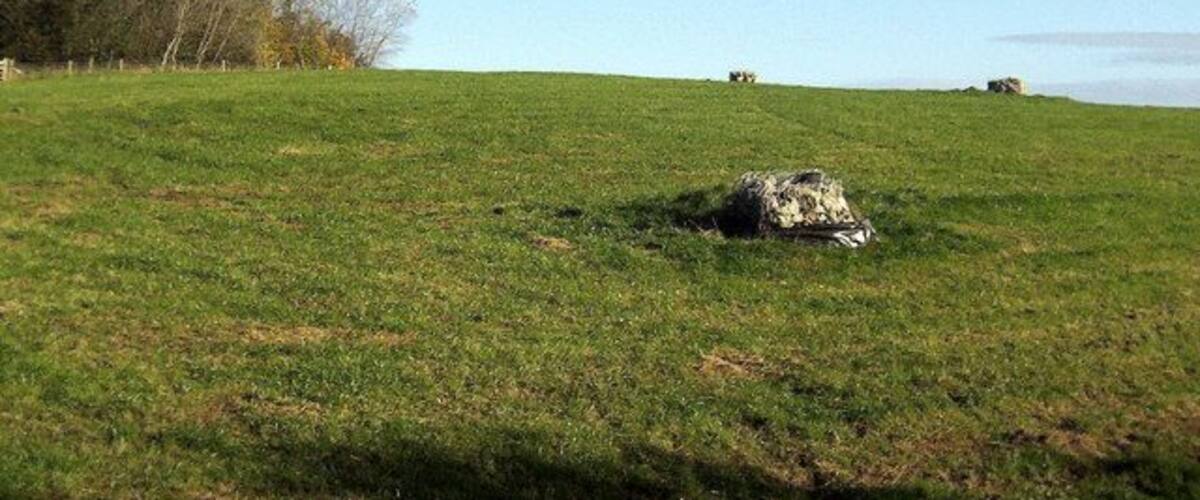 A grassy field with a rock in the foreground and trees in the background.