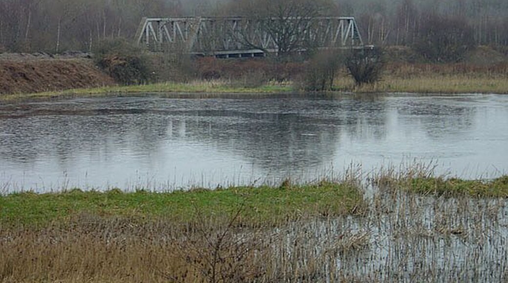 Thrybergh Bridge This carried the former Great Central and Midland Railways' joint line across the River Don. The pool in the foreground is probably the result of mining subsidence.