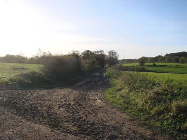 A fork in the farm tracks