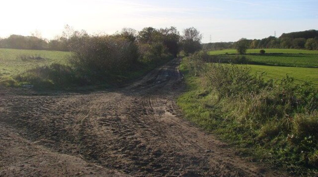 A fork in the farm tracks
