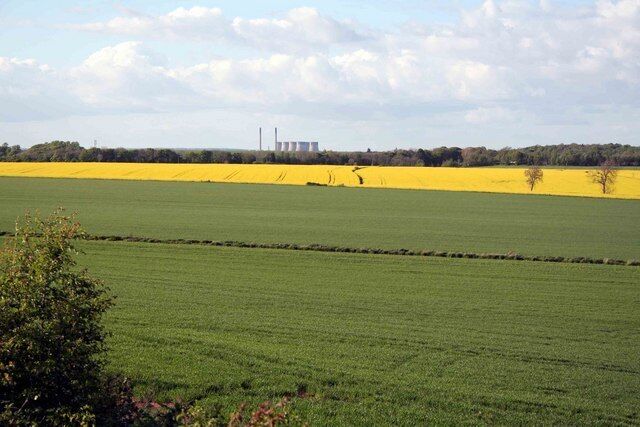 Green and Yellow Looking across the fields from the a1 road north of Barnsdale Bar services.