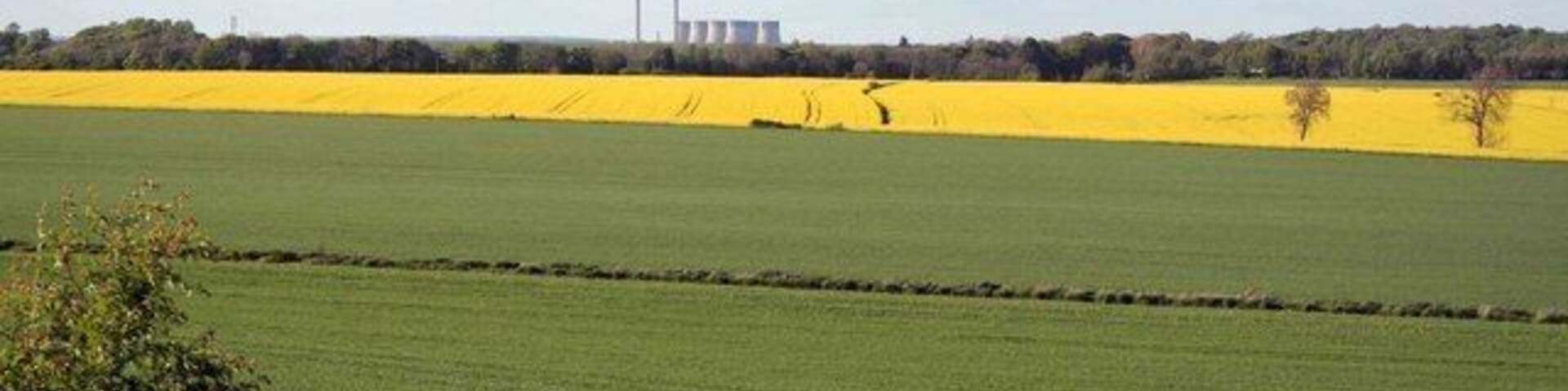 Un campo verde con un campo amarillo al fondo y un edificio con chimeneas.