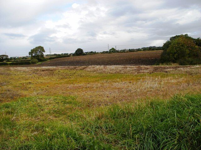 Farmland by Brandy Carr Road