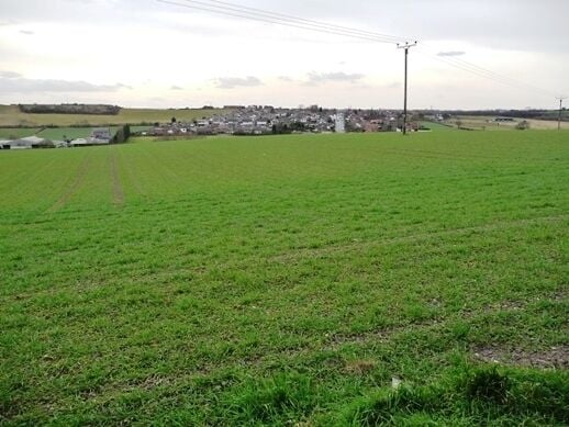 Field on Brandy Carr hill Kirkhamgate is on the skyline.