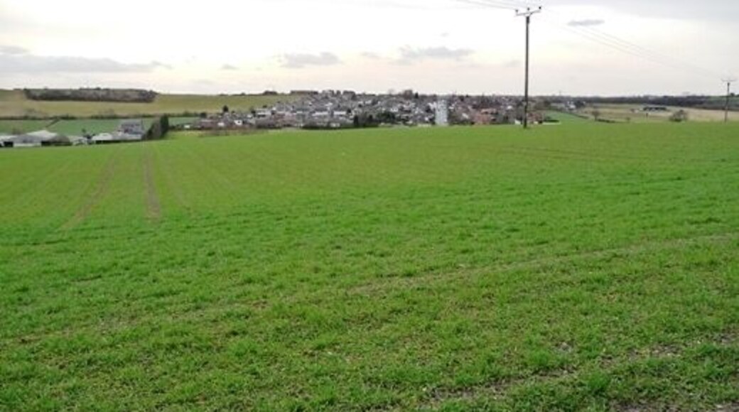 Field on Brandy Carr hill Kirkhamgate is on the skyline.