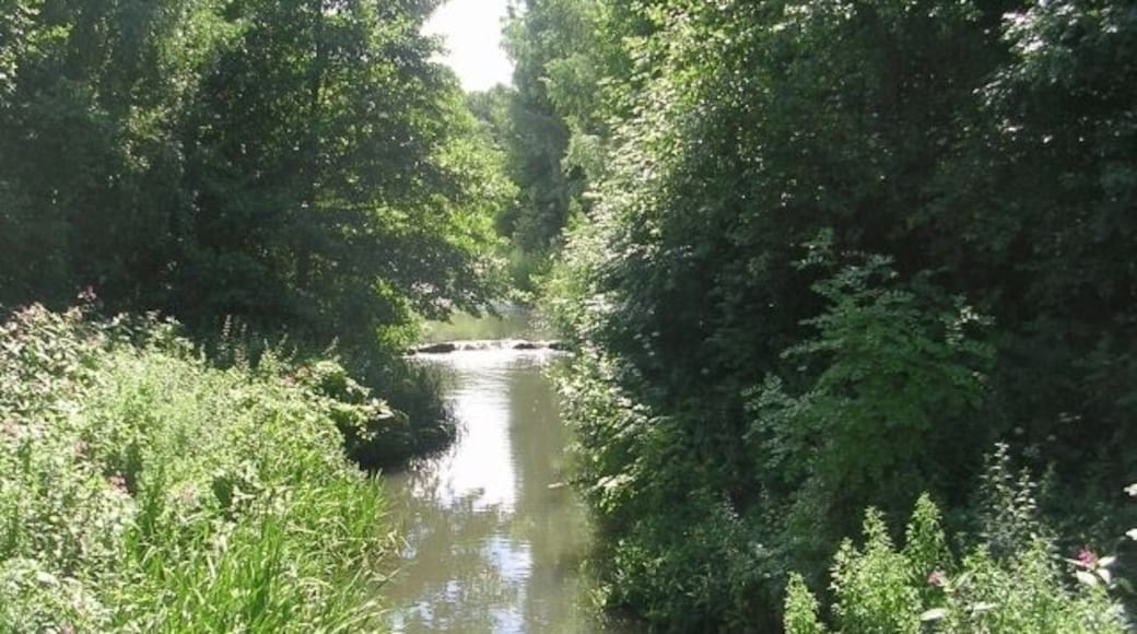 Roundwood Beck - Albany Road, Kirkheaton