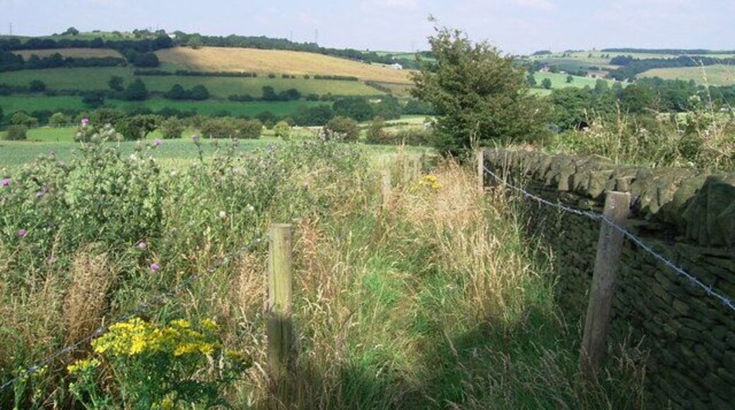 Footpath to Lascelles Hall Looking back to Houses Hill