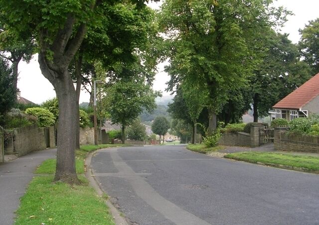 A quiet residential street lined with trees and houses.