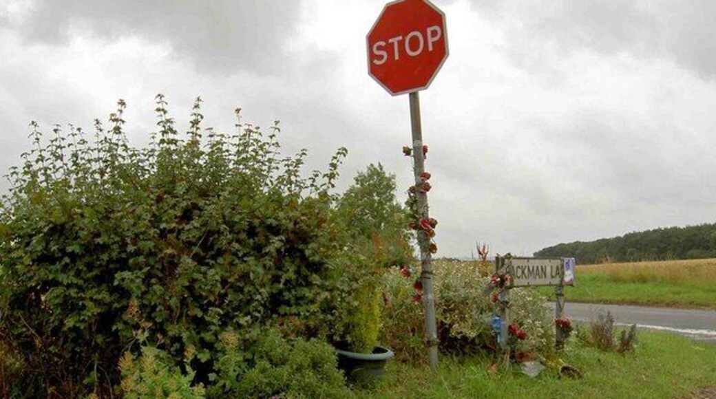 Decorated Stop sign on Packman Road Is this a memorial of some kind?