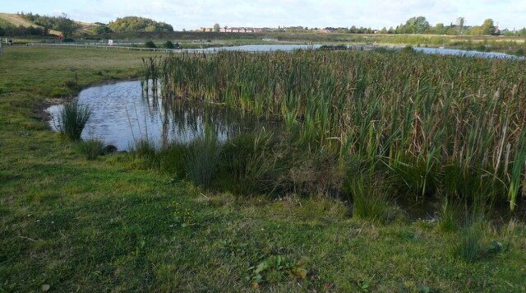 Kiveton Waters Fishery