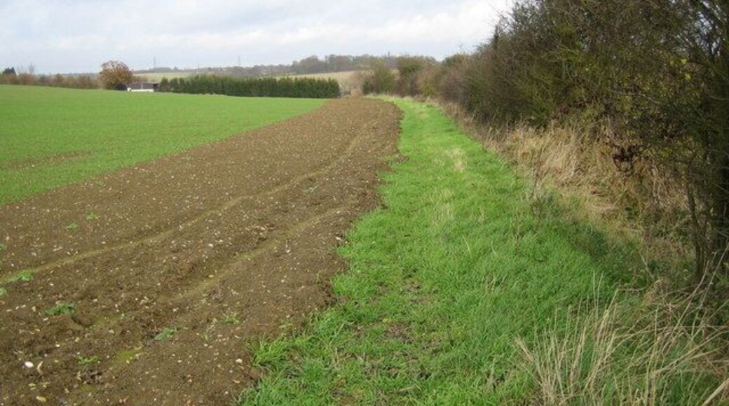 Hare Street Typical north eastern Hertfordshire arable farmland.