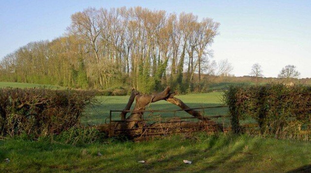 Copse and gate Within hearing distance of the A1m.