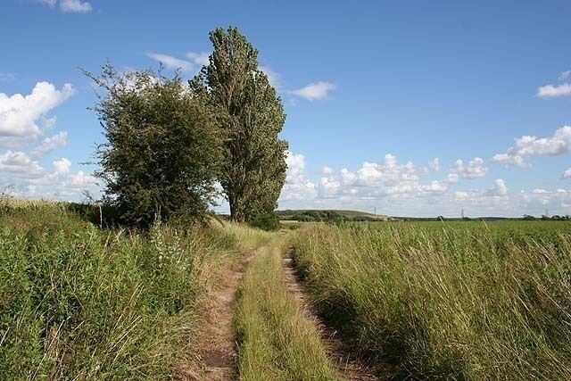 Rake's Lane A pleasant enough stroll through flattish arable land east of Loversall village, with butterflies and farmland weeds adding some interest, though within earshot of the M18. The mound in the distance is spoil from Rossington Main Colliery.