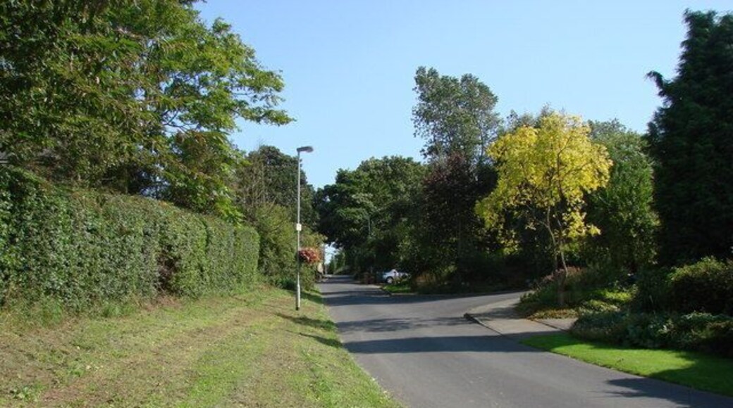 Nineveh Lane, Badsworth