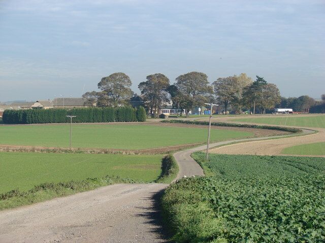 A rural road curving through green fields with trees and buildings in the background.