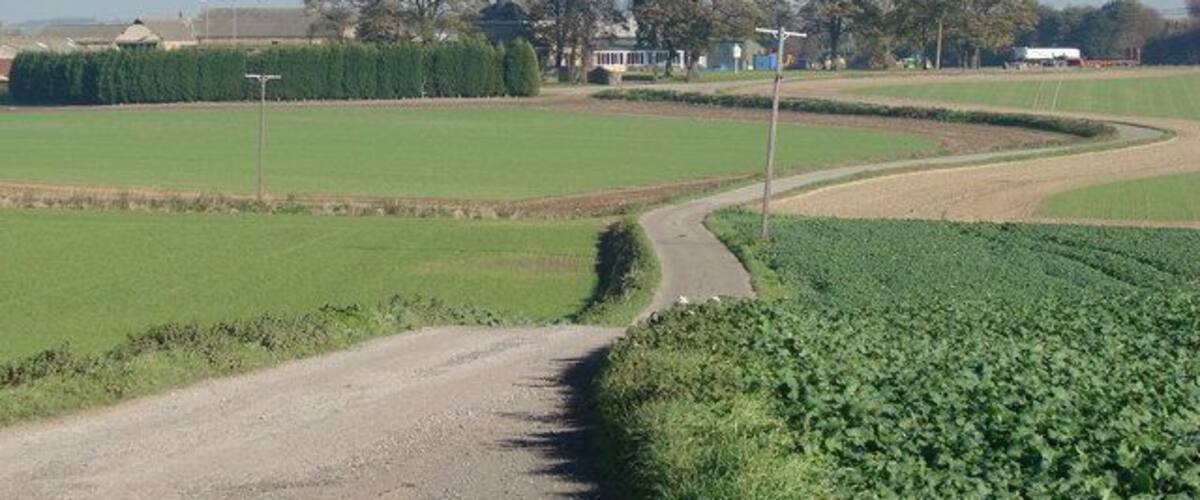 A rural road curving through green fields with trees and buildings in the background.