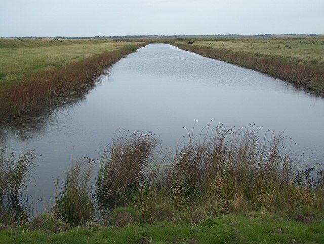 Drainage channel in Teynham Levels Drainage channel in marshes. On lefthand side of photo is an earth bank used to divide parcels of land.