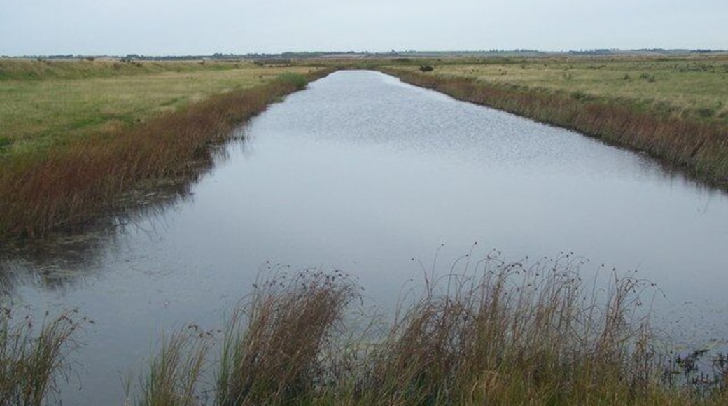 Drainage channel in Teynham Levels Drainage channel in marshes. On lefthand side of photo is an earth bank used to divide parcels of land.