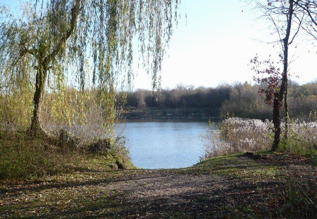 One of the fishing lakes, out of season, in Bysing Wood