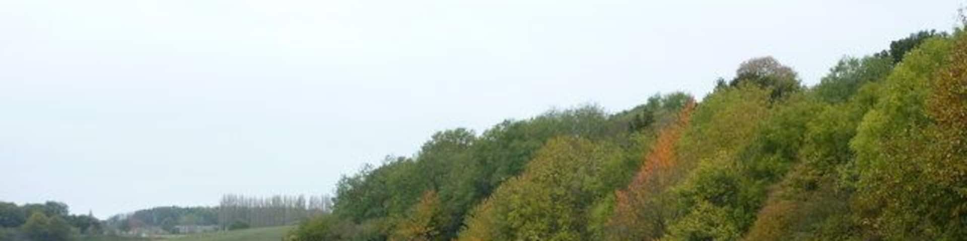 Footpath skirting Bysing Wood