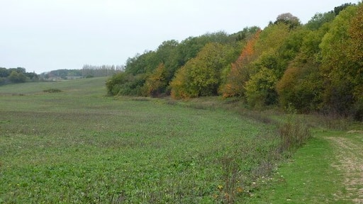 Footpath skirting Bysing Wood