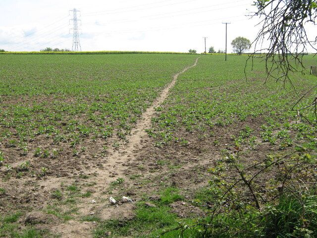 Footpath to Uplees Road This footpath leads to Uplees Road and then onto Oare, from an access road to Howletts.
