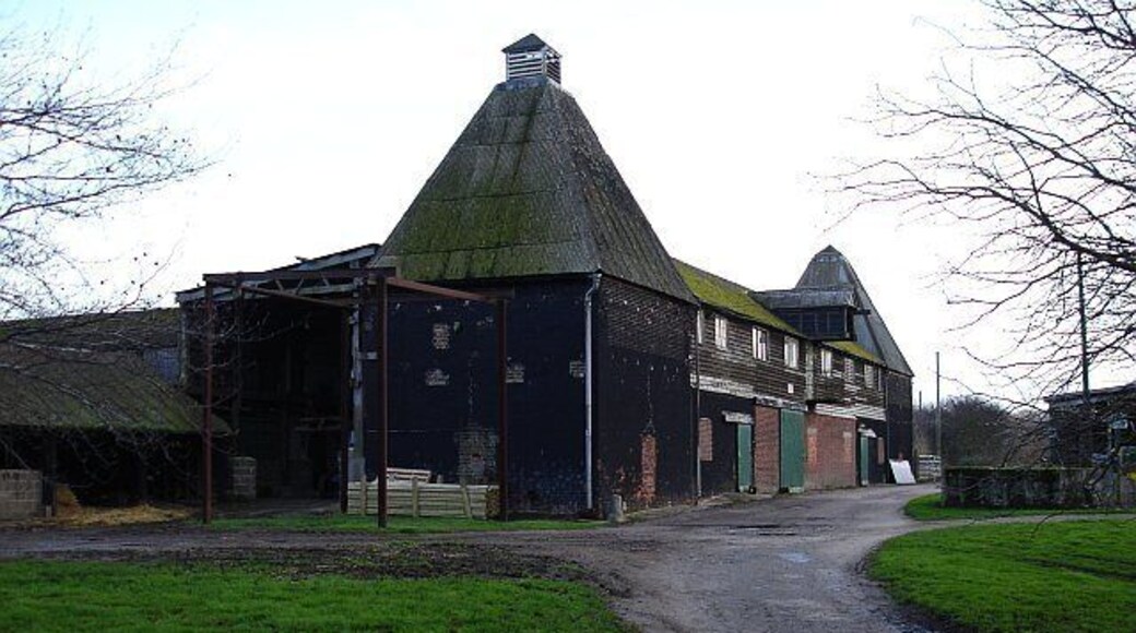 Oasts and barns at Luddenham Court The farm concentrates on meat these days so I think it's been a while since hops were dried here despite the relatively modern design of this large oast house.
